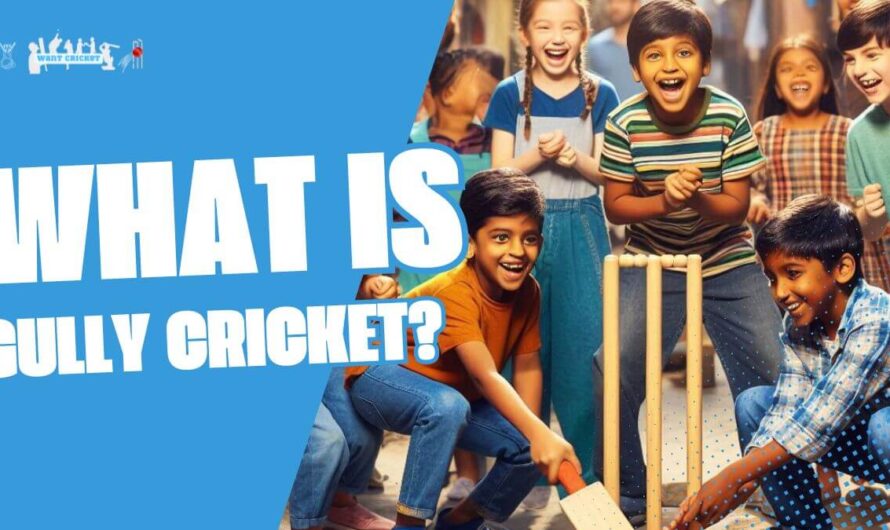 What Is Gully Cricket? Uncovering the Heart and Soul of Street Cricket
