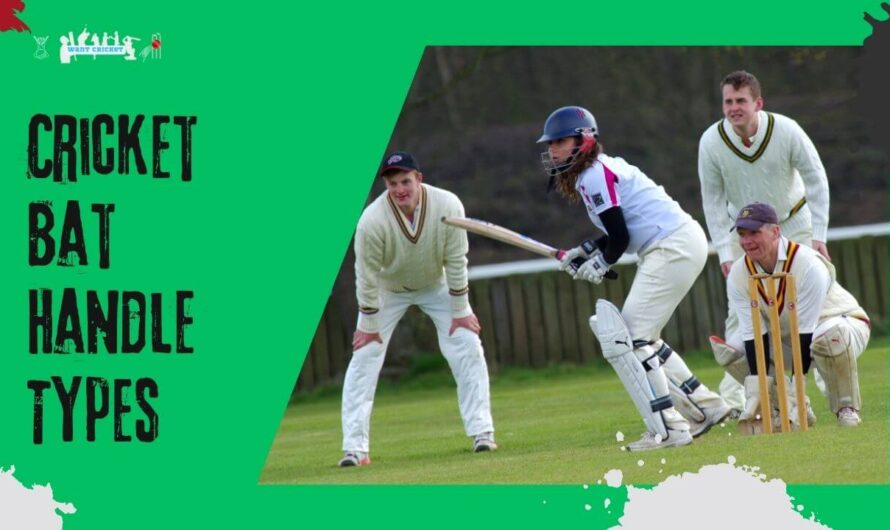 Cricket Bat Handle Types: Complete Guide with Pros & Cons for Every Player