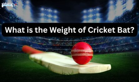 what is the weight of cricket bat?