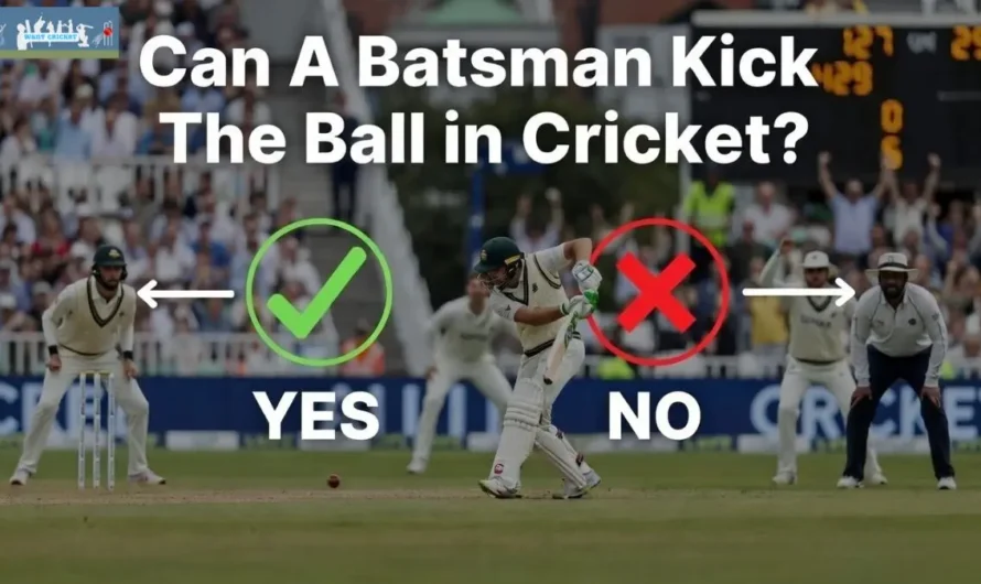 Can A Batsman Kick The Ball in Cricket? Surprising Rules Explained!