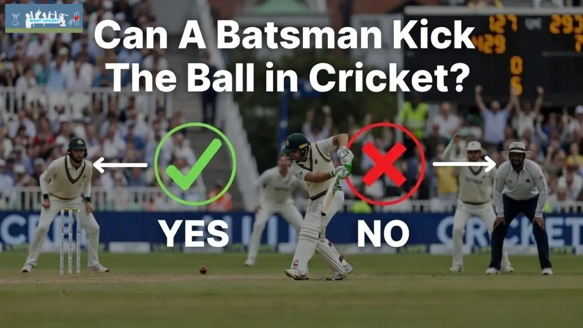 Can A Batsman Kick The Ball in Cricket?