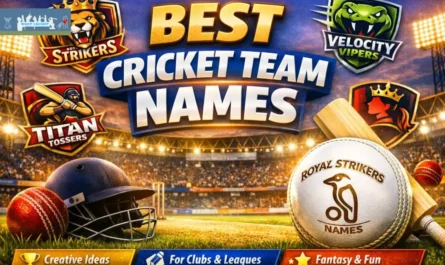 Best Cricket Team Name Suggestions